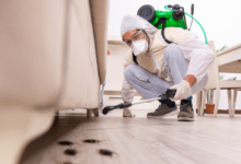 Pest Inspection Services to Ensure a Pest-Free Property