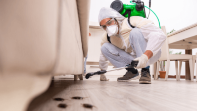 Pest Inspection Services to Ensure a Pest-Free Property