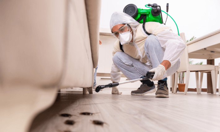 Pest Inspection Services to Ensure a Pest-Free Property