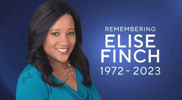 Elise Finch Net Worth: Journalist's Financial Success